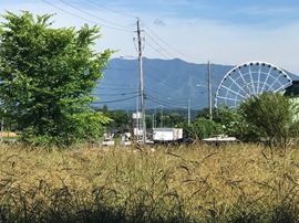 Prime Tourist Development Tract