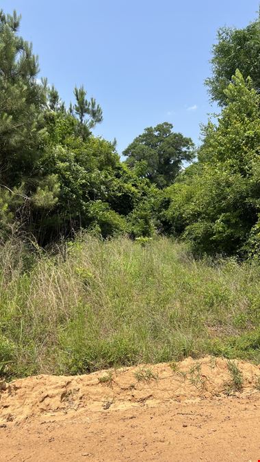 Christmas Road Tract Lot 1