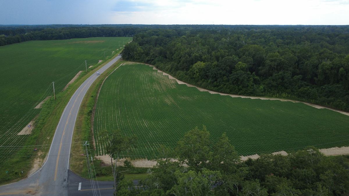 10± Acre Mixed-Use Development Opportunity in the Heart of Dothan