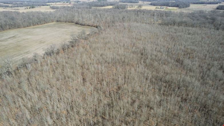 0 Lakeview Rd - 73.74 Acres