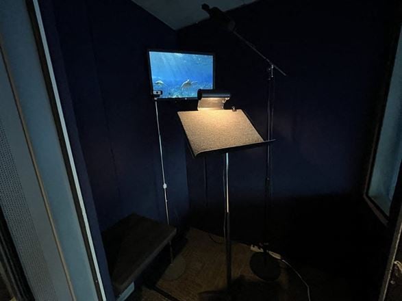 VoxPod NYC