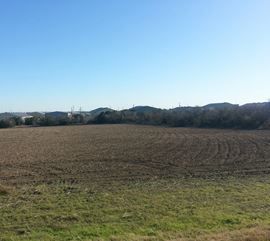 4.56 Acres FM 3009 & FM 2252