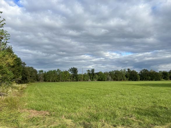 28144-28150 Morton Rd, Katy TX: Unrestricted Land