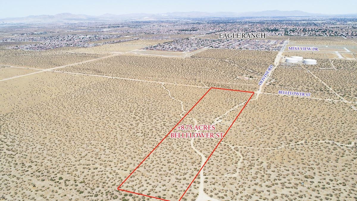 8.75 Acres Bellflower Street