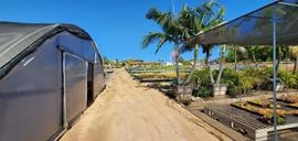 22.86 Acres of Land with 3 houses and greenhouses in Bonsall