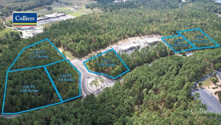 For Sale: 6 Commercial Lots in Hot Springs Village