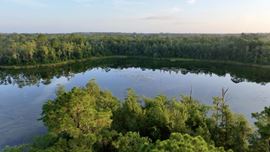 Sunrise Plantation