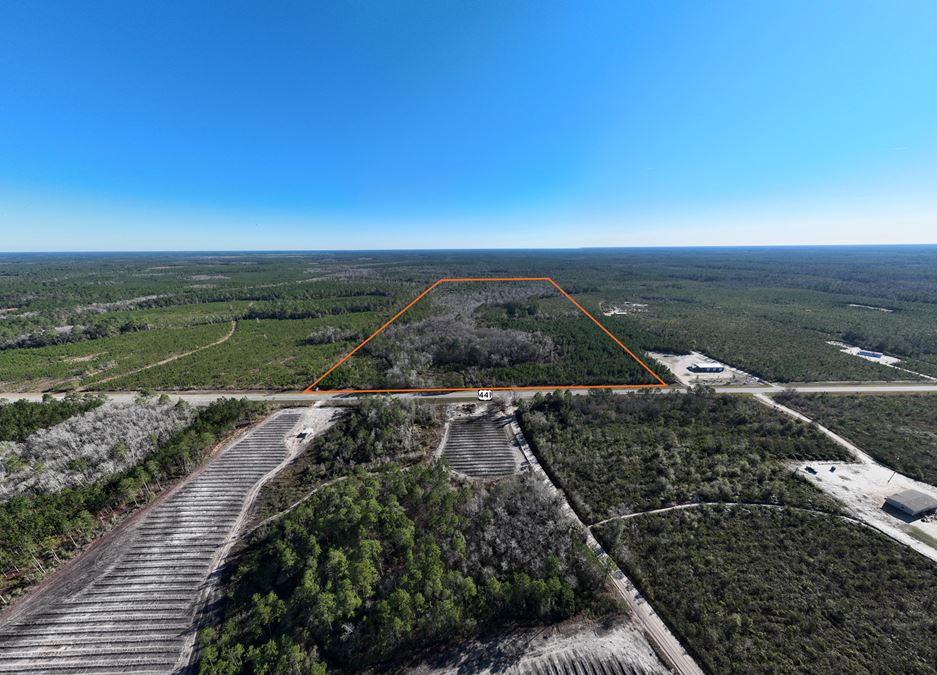 Clinch County 95 Acres Timber and Hunting Tract