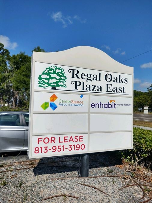 Regal Oaks Plaza - 5 Spaces