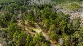 Telfair Tract 1