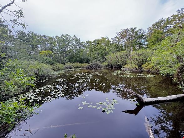 Just reduced! $1,299,000 on Six Mile Cypress