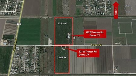 18.67 Acres of Citrus Grove with Home in N. Donna, TX - Donna