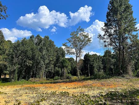 VacantLand space for Sale at 0 Red Hill Rd in Eclectic