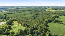 Richey Timber 40 Acres