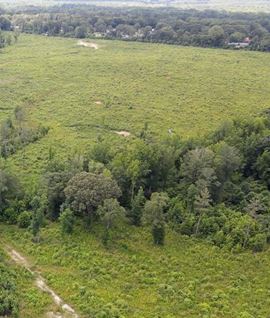 Iris Pointe - 164 Acres (251 Lots)