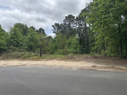 Mira Levee and Hwy 71 Land (98.37 acres)