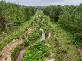 Beaver Creek Tract