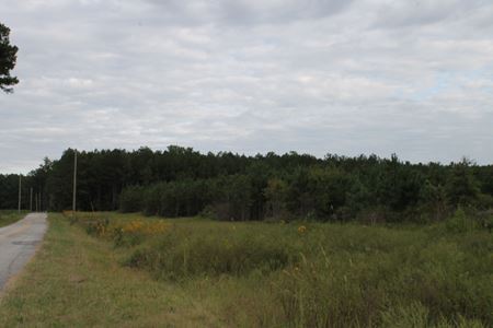 Photo of commercial space at CR 239 in Centre