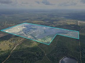 Ranch, Hunt & Invest: 280± Acres of Productive Timberland in SE Washington County