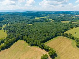 110-ACRES OF SCENIC RECREATIONAL & FARM LAND