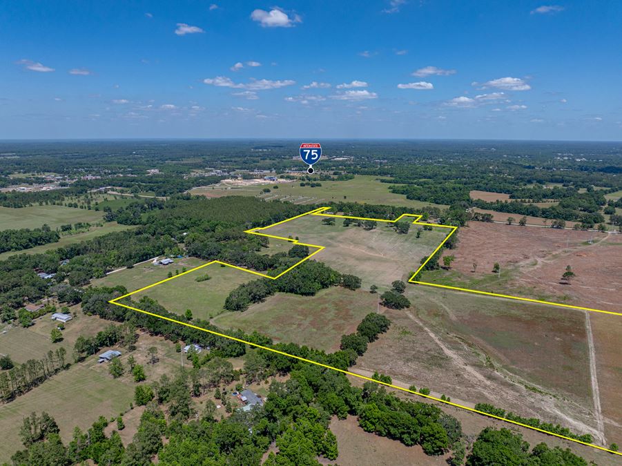 Alachua Transitional Acreage