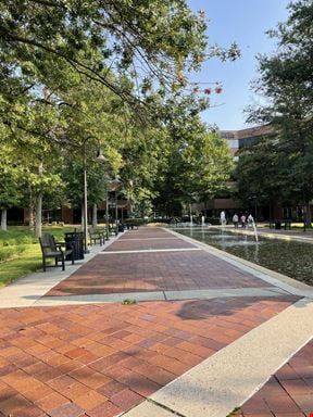 WillowWood Plaza II