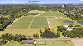 Old Hillsborough Lakefront Development