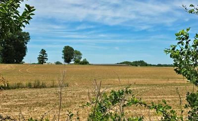 64.2 AC - Shands Bottom Road, Senatobia, MS 