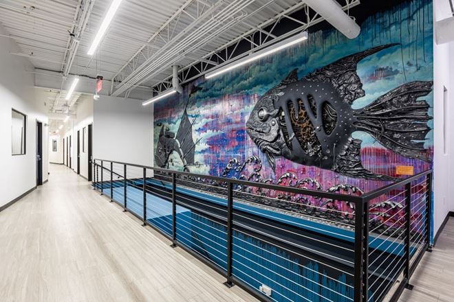 Thrive DTSP