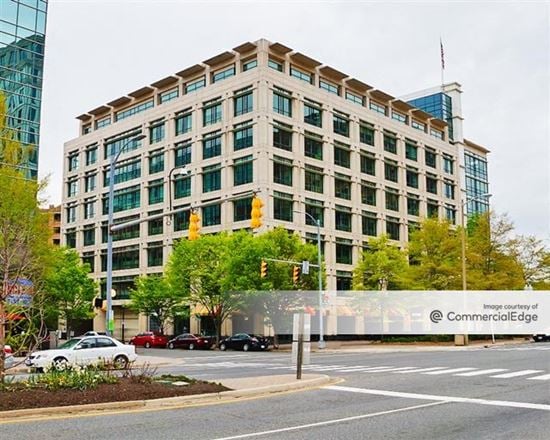 The Nature Conservancy Worldwide Office