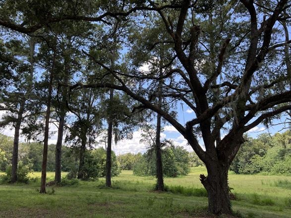34+/- Acres for 134+ Single Family Homes