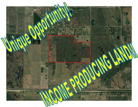 Calumet Farms - INCOME PRODUCING LAND - New Interchange Completed!! - Palm Bay