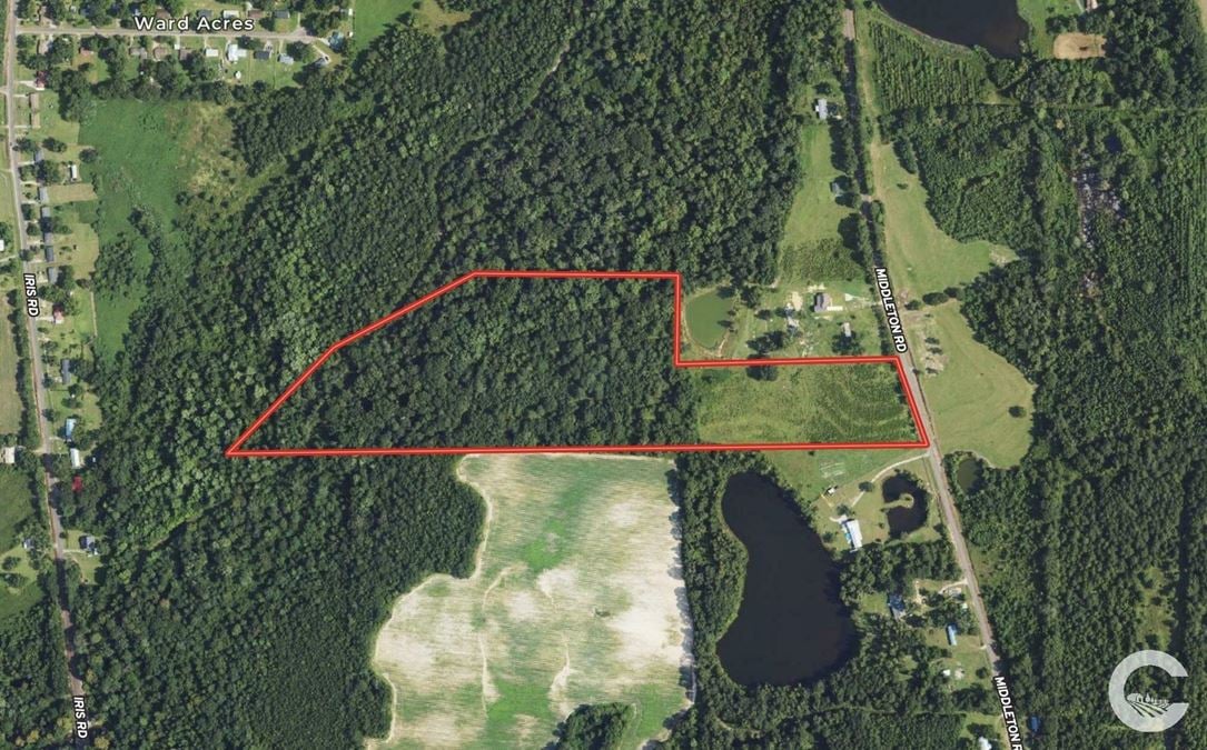 28 +/- Recreation / Residential Land in Houston County, AL