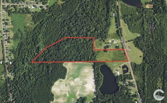 29 +/- Recreation / Residential Land in Houston County, AL