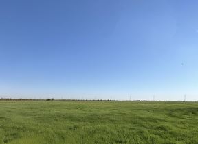 ±365 Acre Agricultural Land For Sale - Imperial, California