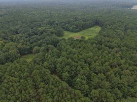 Dub Walker Rd - 314.47 Acres