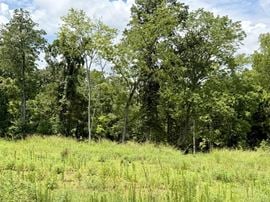 Rufus Johnson Rd