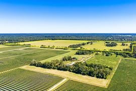 High Springs Residential Development Land
