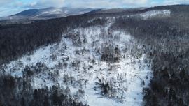 Route 3 North, Carroll, NH (lots 43 & 46)
