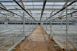 42,300 SF Flex Greenhouse Facility in Prescott Valley
