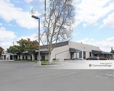 Palm Orchard Business - San Jose