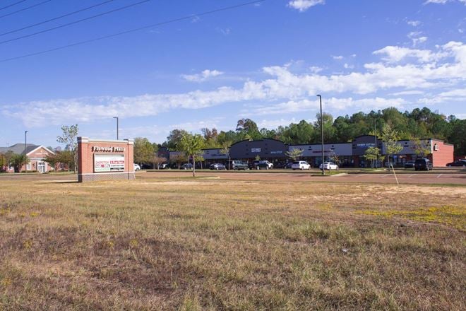 Flowood Plaza