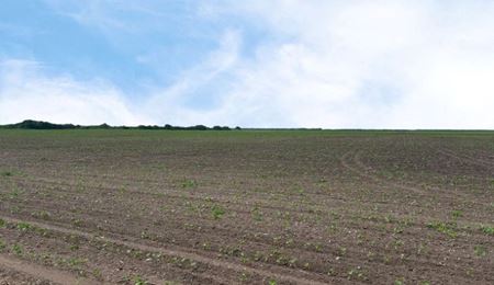 Photo of commercial space at CR 48 in Robstown