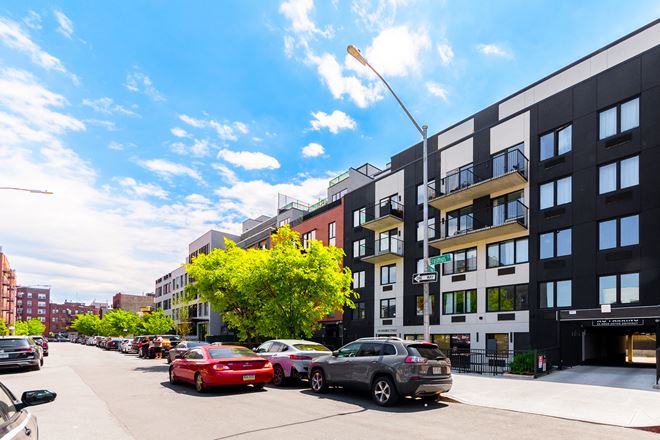 1,000 SF | 134 Erasmus Street | Modern Glass Storefront in Flatbush for Lease