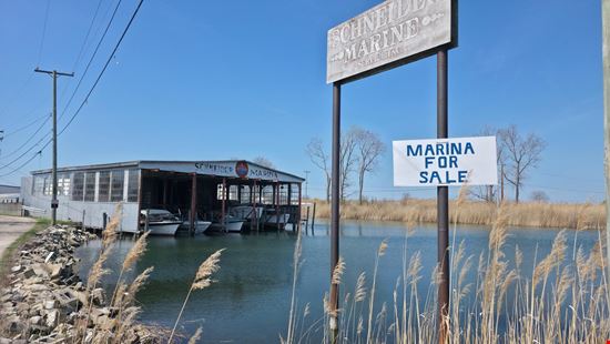 Schneiders Marina