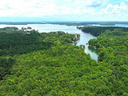 VacantLand space for Sale at Cagles Cove Road in Eclectic