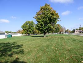 Johnson Avenue