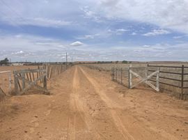 45.75 Acres N CR 2000