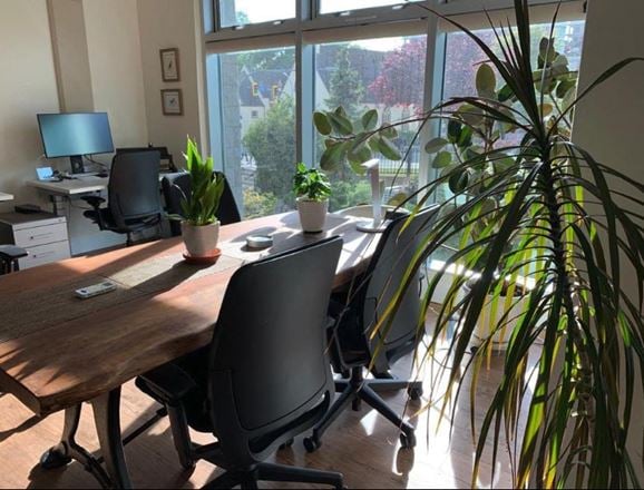 Digital Desks Executive Coworking - 810 Humboldt Street