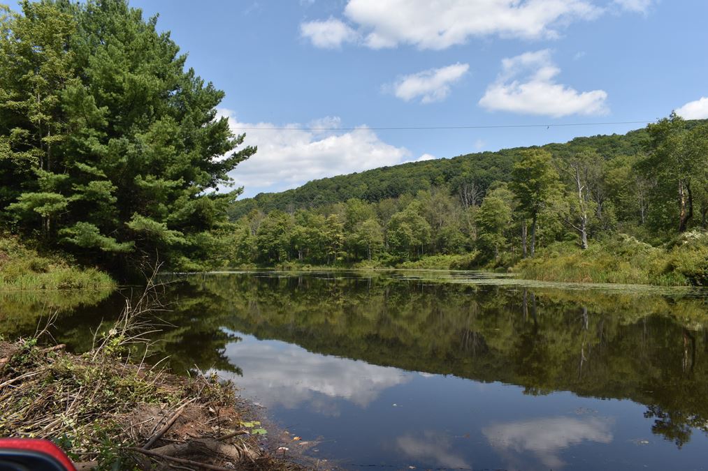 Camp Oswego